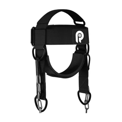 Head Harness